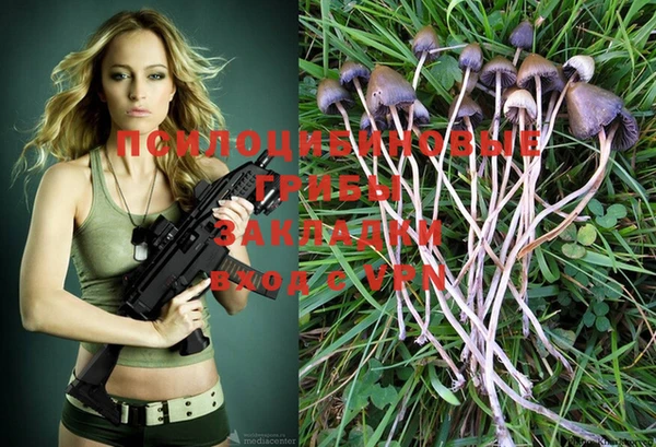 a pvp Елабуга