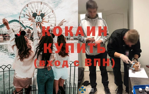 дмт Елизово