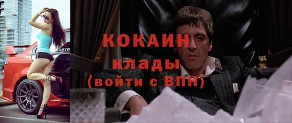 apvp Ельня