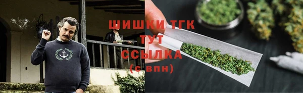 apvp Ельня
