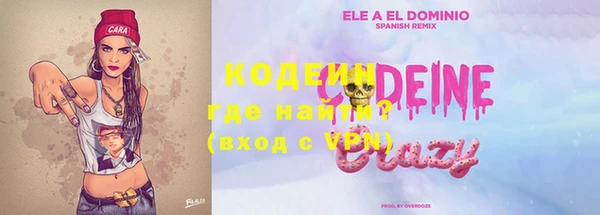 apvp Ельня
