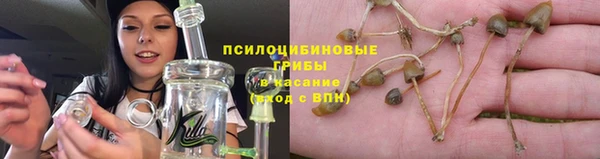 apvp Ельня