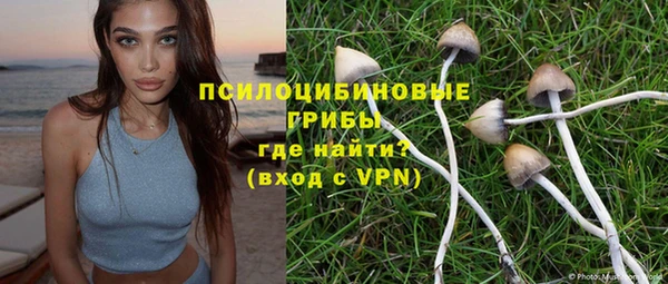 дмт Елизово