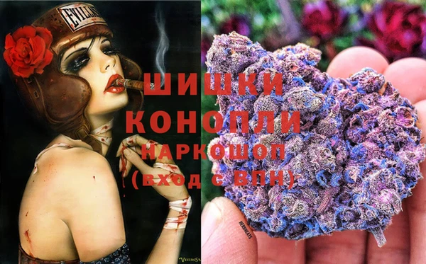 дмт Елизово