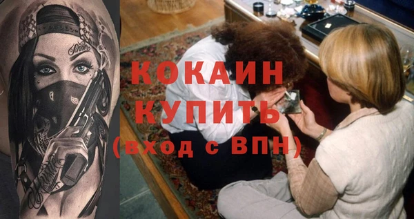 apvp Ельня