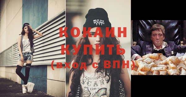 apvp Ельня