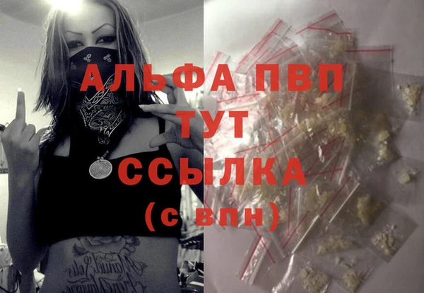 apvp Ельня