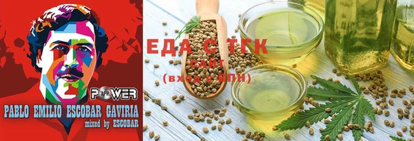 apvp Ельня