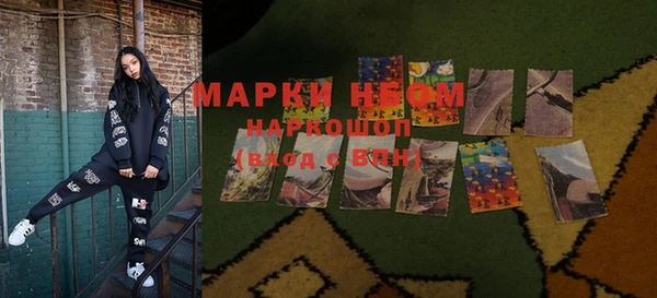 apvp Ельня