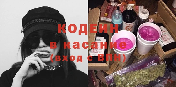 дмт Елизово