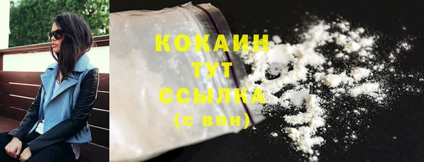 apvp Ельня