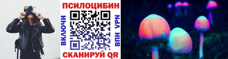 Купить где  Гагарин  Галлюциногенные грибы GOLDEN TEACHER 